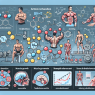 Trenbolone acetate: action mechanism and sporting benefits